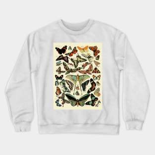 Retro Butterfly species Crewneck Sweatshirt